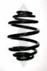 SPIDAN 49036 Coil Spring